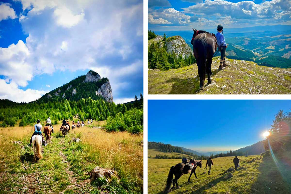 Hipparion Trails - Riding tours and lessons